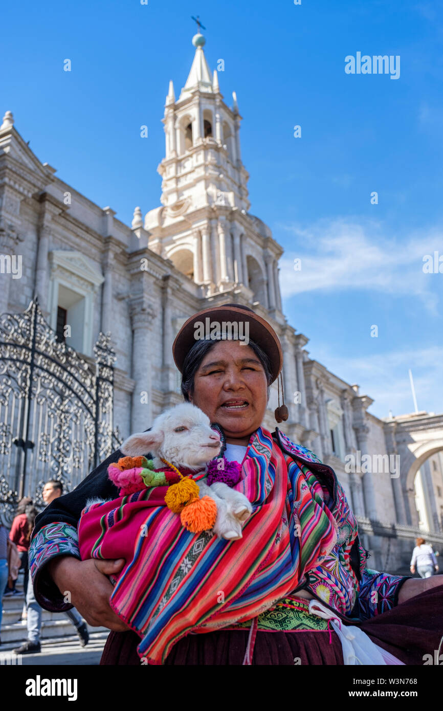 Donne peruviane, chiesa di Arequipa, ritratto di una donna aymara peruviana che tiene un alpaca, cattedrale di Arequipa in Arequipa Plaza de Armas, Perù Foto Stock