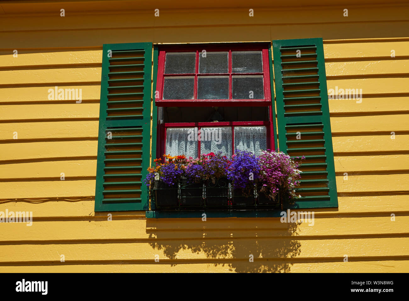 Fiori e finestra, del fuoco e del ghiaccio Shop, Akaroa, Penisola di Banks, Canterbury, Isola del Sud, Nuova Zelanda Foto Stock