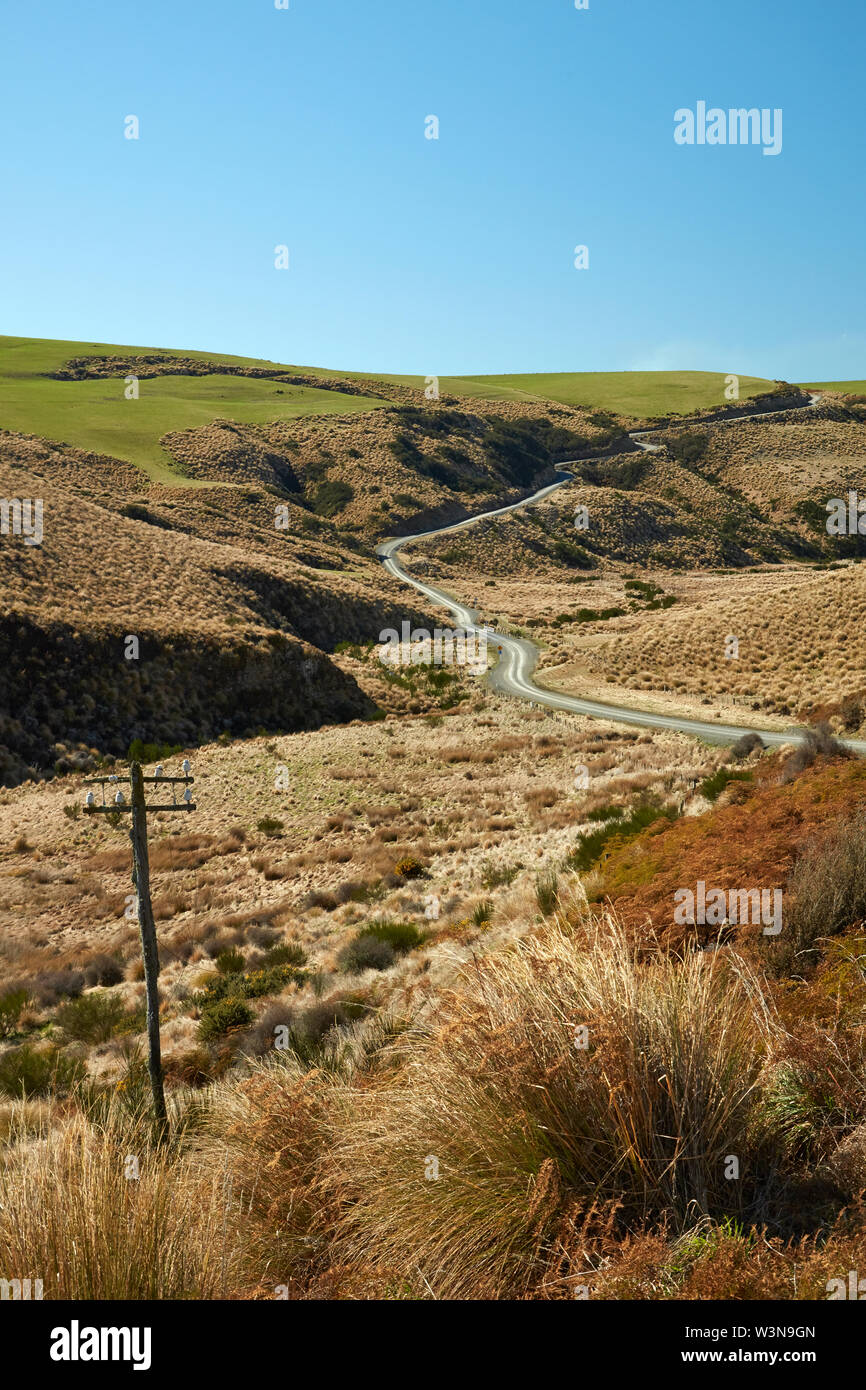 La strada attraverso Tussocks, vicino al lago di Mahinerangi, Otago, Isola del Sud, Nuova Zelanda Foto Stock