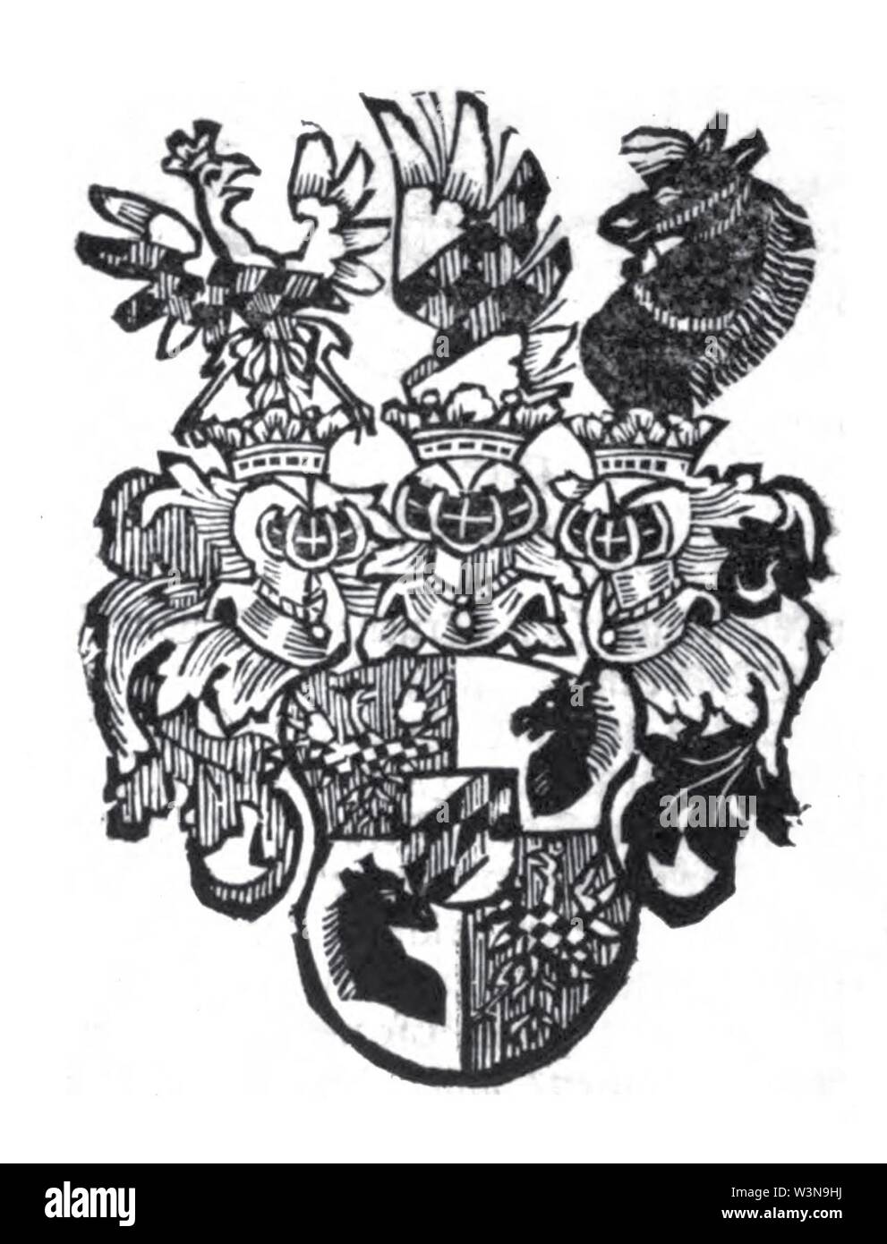 COA Tschernembl bw. Foto Stock