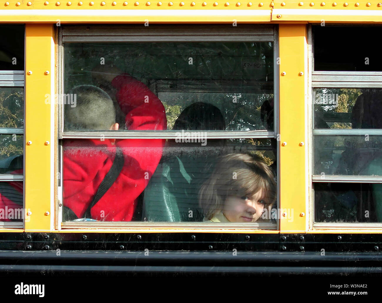 Middletown, CT, Stati Uniti d'America. Mar 2015. Una bambina all'interno di un bus di scuola shying lontano dalla telecamera a una caduta di residenziale fuori del posto. Foto Stock