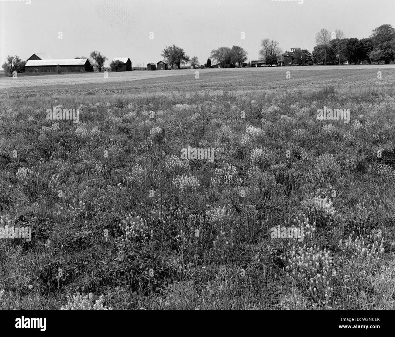 Cochran Grange, U.S. Route 301, a ovest di Route 71, Middletown prossimità (New Castle County, Delaware). Foto Stock