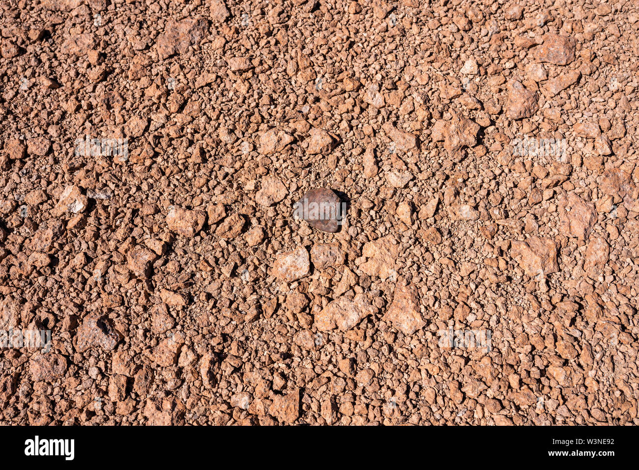 Meteorite Chondrite L tipo, un pezzo di roccia formata nello spazio esterno nelle prime fasi del Sistema Solare come asteroidi Foto Stock
