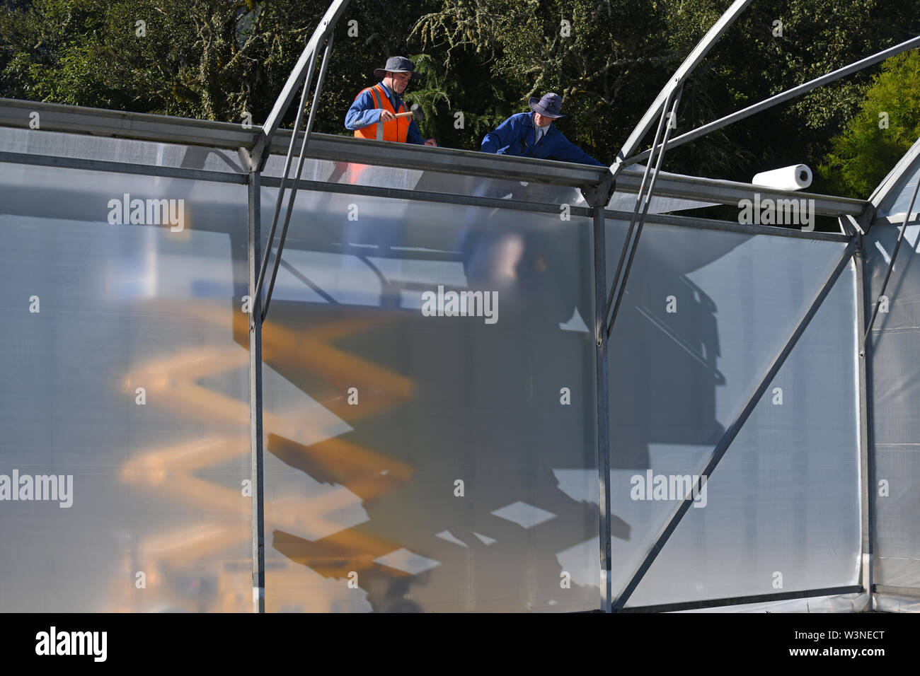 Greymouth, Nuova Zelanda, dicembre 12, 2018: Commercianti fissare la plastica su un nuovo tunnel house. Foto Stock