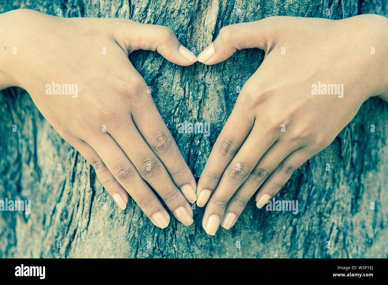 Le mani umane abbracciando tree forma withheart Foto Stock