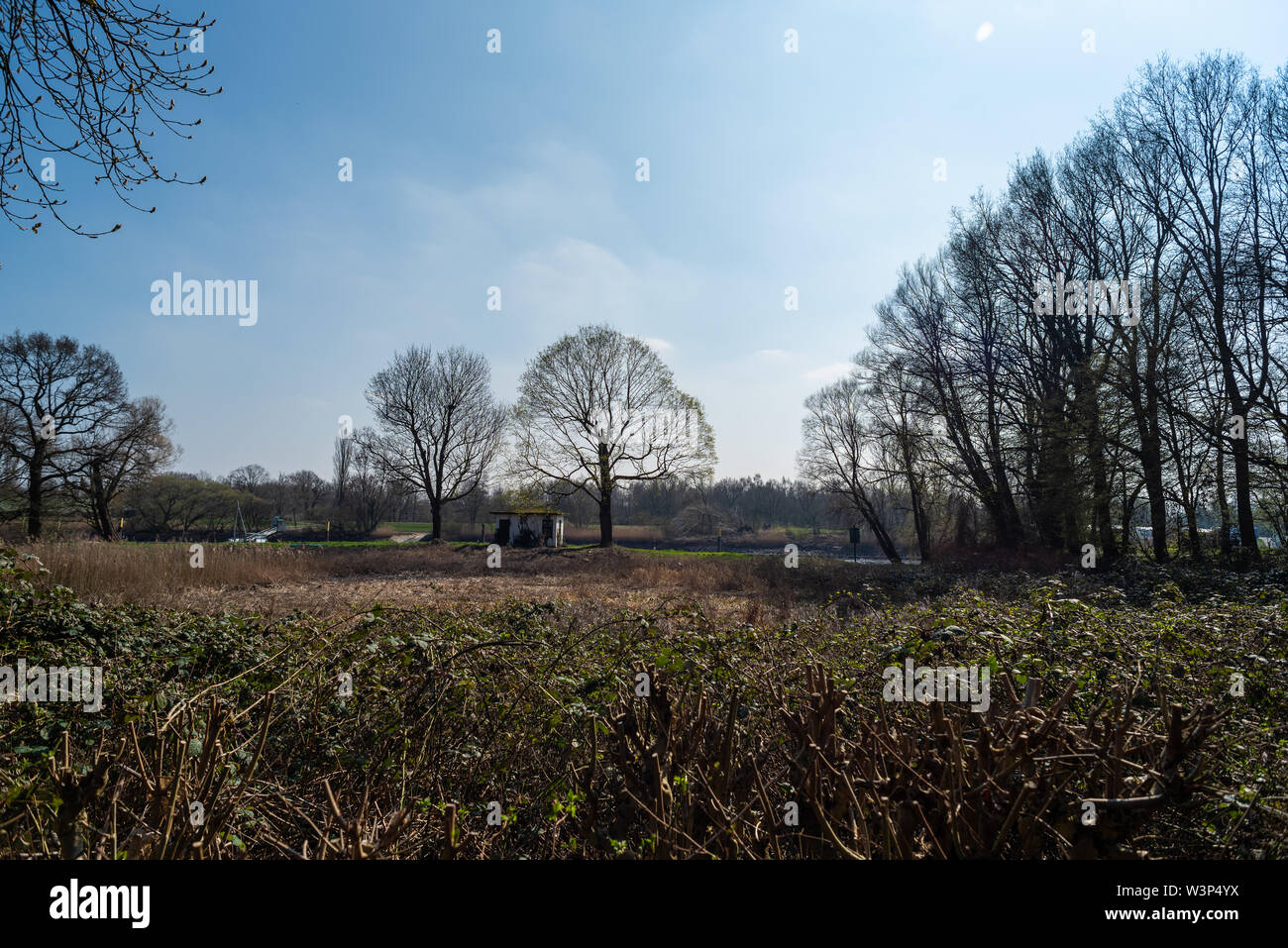 Un safari fotografico attraverso il parco Knoops in Bremen sul fiume Lesum Foto Stock