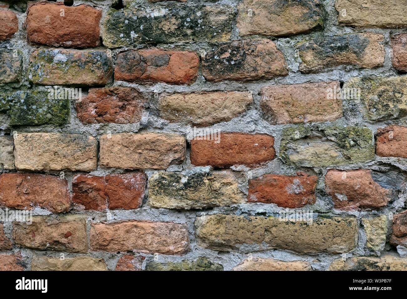 Con il muro di mattoni colorati, mattoni, dettaglio, provincia delle Marche, Italia Foto Stock