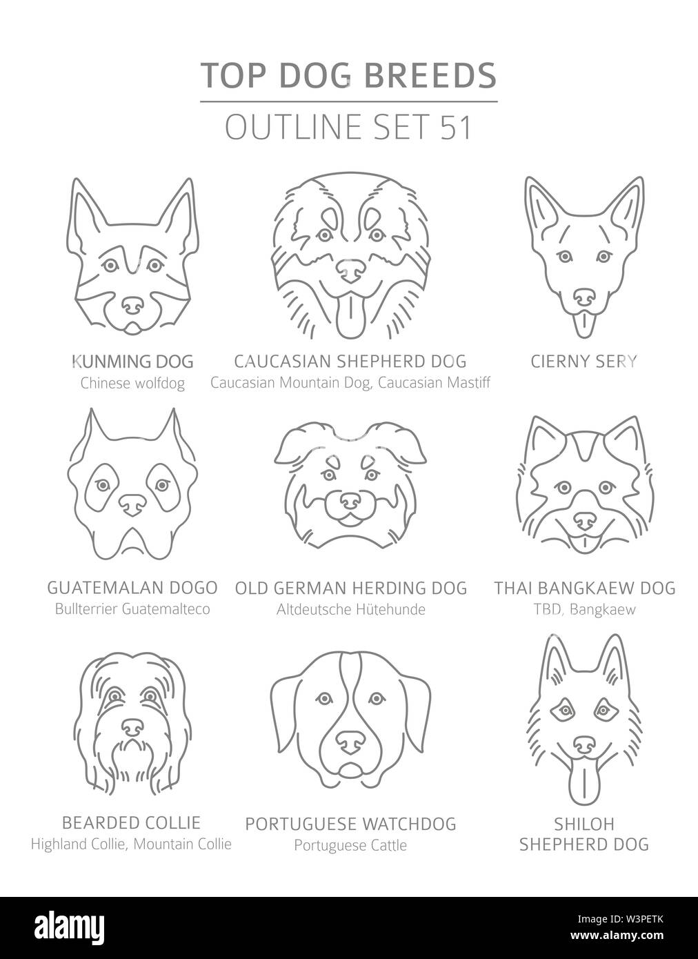 Top cane razze. Caccia, pastore e compagno di set di cani. Pet raccolta di contorno. Illustrazione Vettoriale Illustrazione Vettoriale
