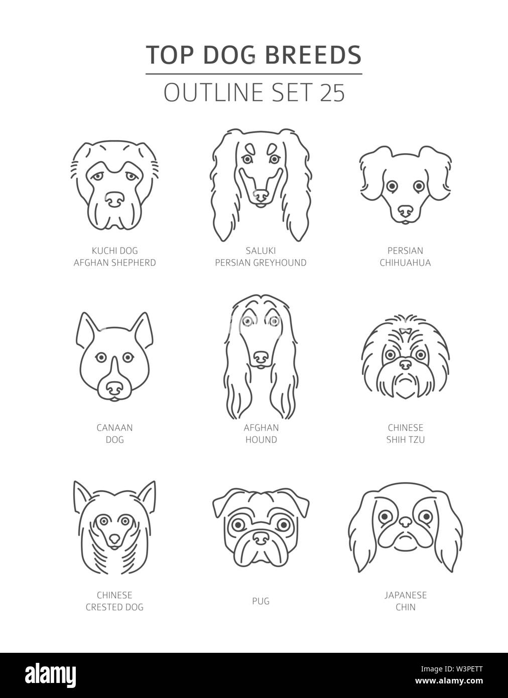 Top cane razze. Pet raccolta di contorno. Illustrazione Vettoriale Illustrazione Vettoriale
