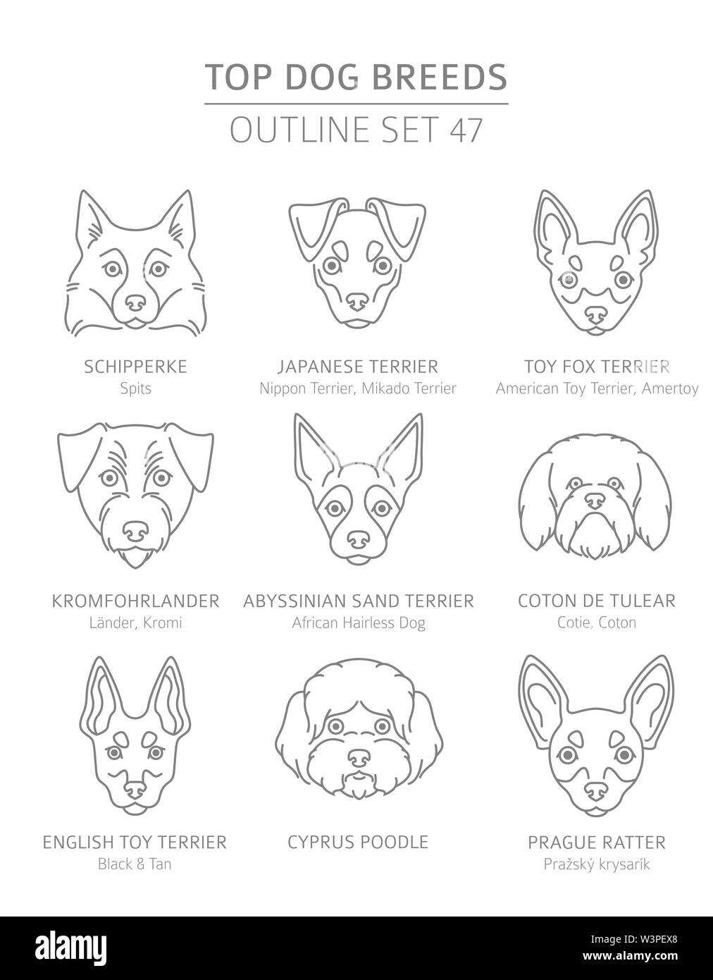 Top cane razze. Caccia, pastore e compagno di set di cani. Pet raccolta di contorno. Illustrazione Vettoriale Illustrazione Vettoriale