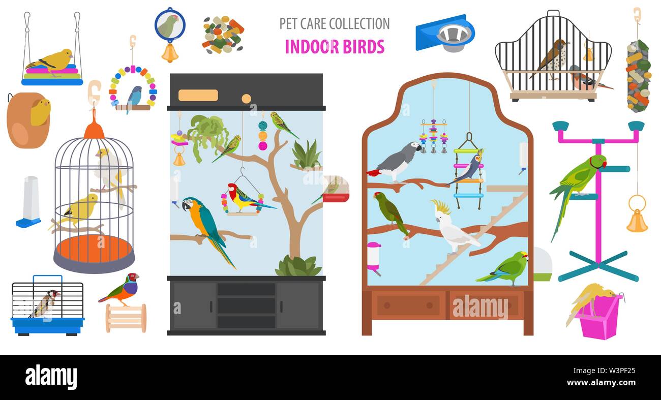 Apparecchio di Pet il set di icone di stile di piatto isolato su bianco. Uccelli raccolta di cura. Per creare il proprio una infografica circa parrot, parrocchetto, Canarie, tordi, finch, jay Illustrazione Vettoriale