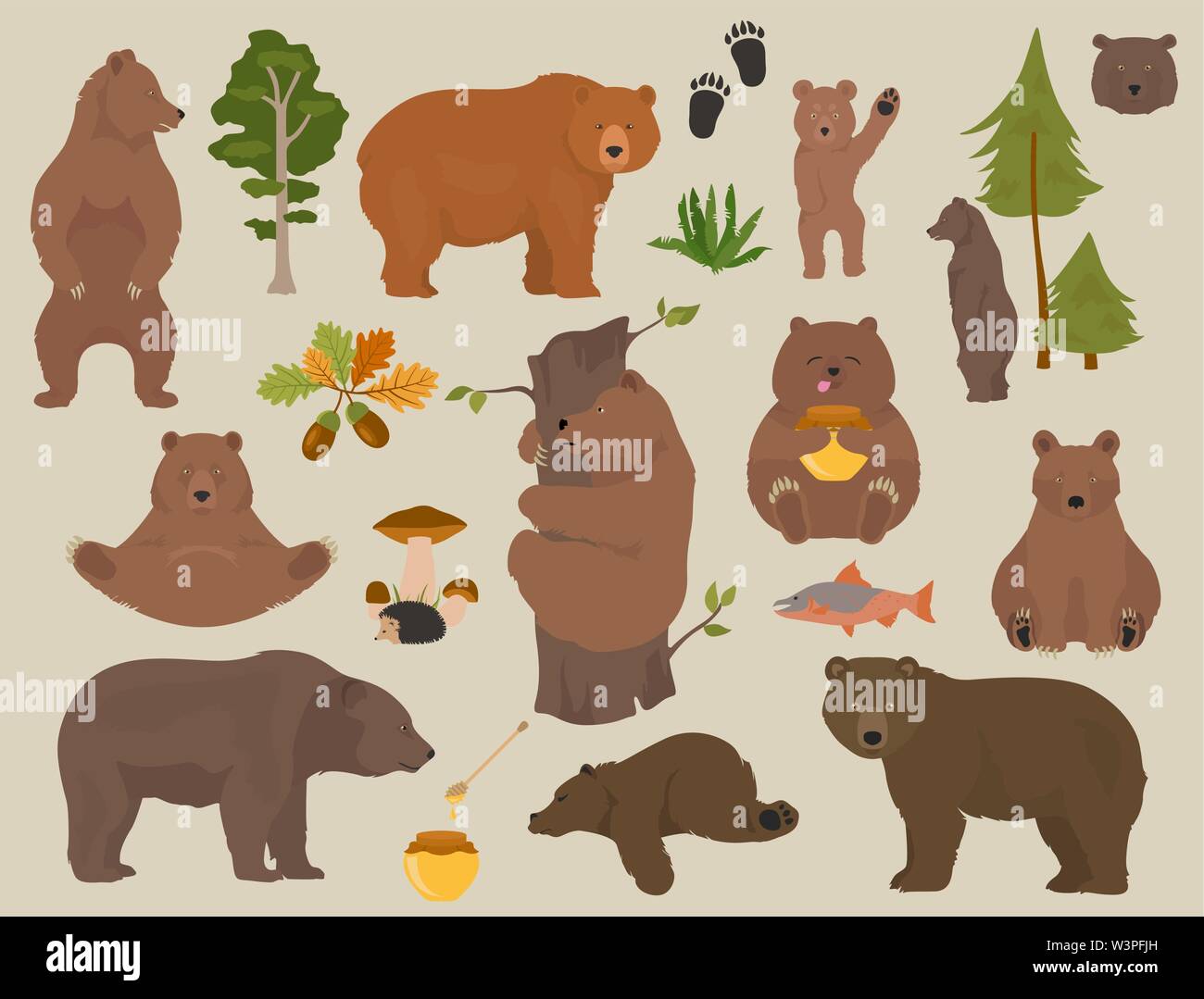 Tutte le specie di orso in un set. Porta in foresta collezione. Illustrazione Vettoriale Illustrazione Vettoriale