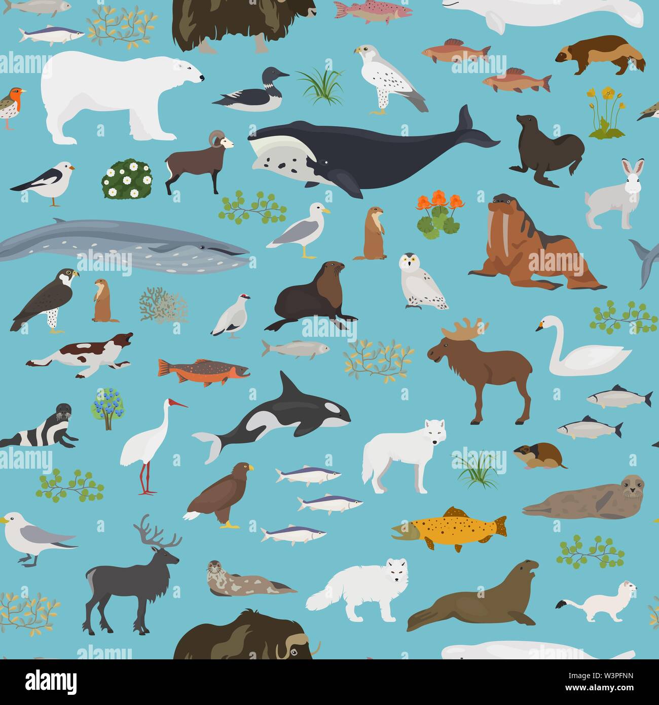 Biome Tundra. Ecosistema terrestre mappa del mondo. Arctic animali, uccelli, pesci e piante seamless pattern design. Illustrazione Vettoriale Illustrazione Vettoriale