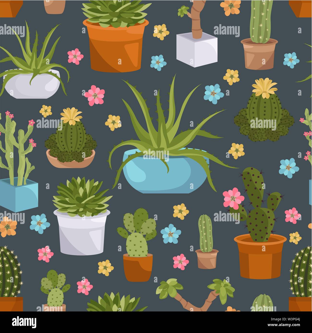 Cactus e piante grasse seamless pattern. Houseplants. Illustrazione Vettoriale Illustrazione Vettoriale