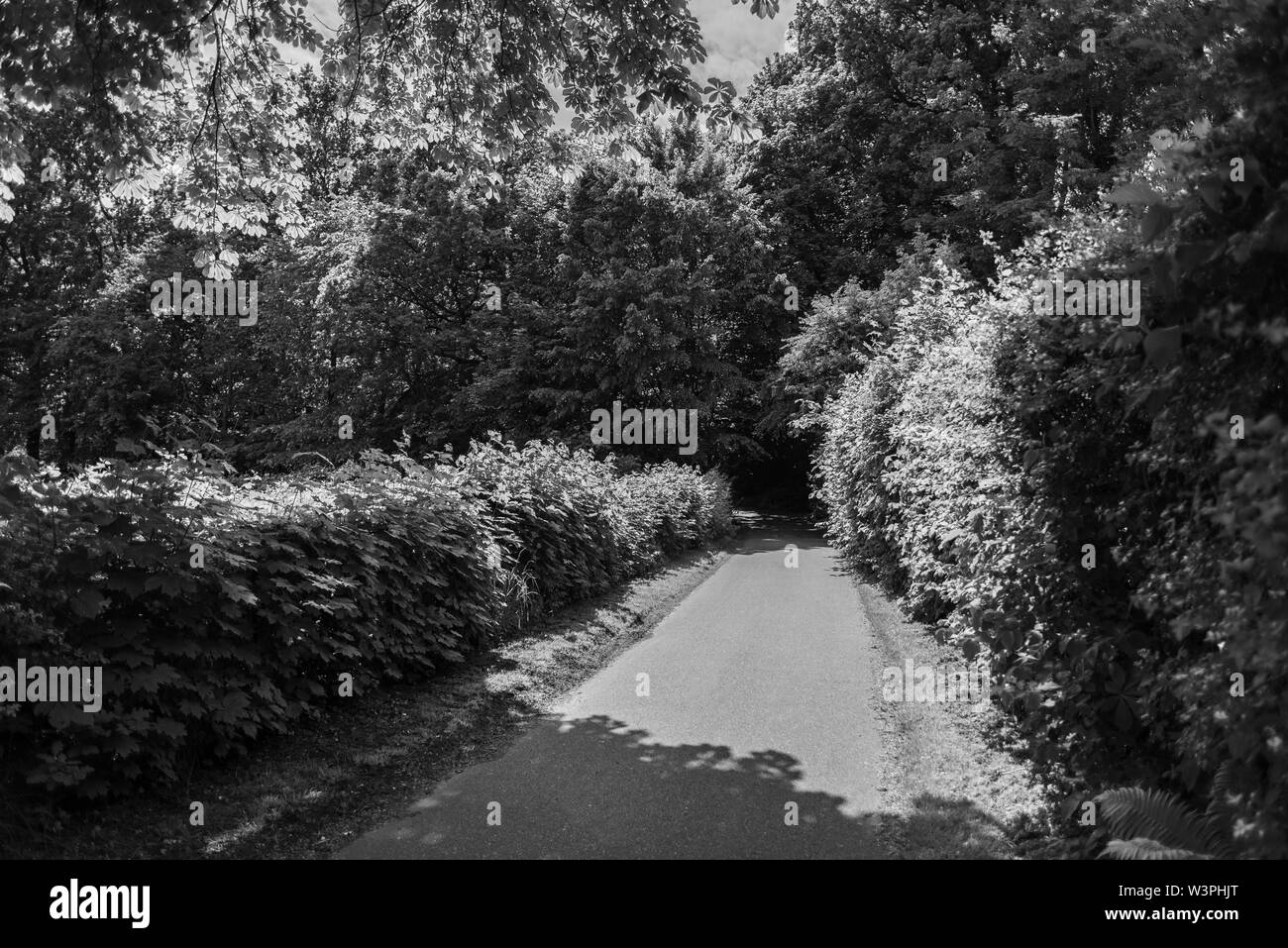 Un viaggio attraverso il passato. Knoops Park in Bremen sul fiume Lesum Foto Stock