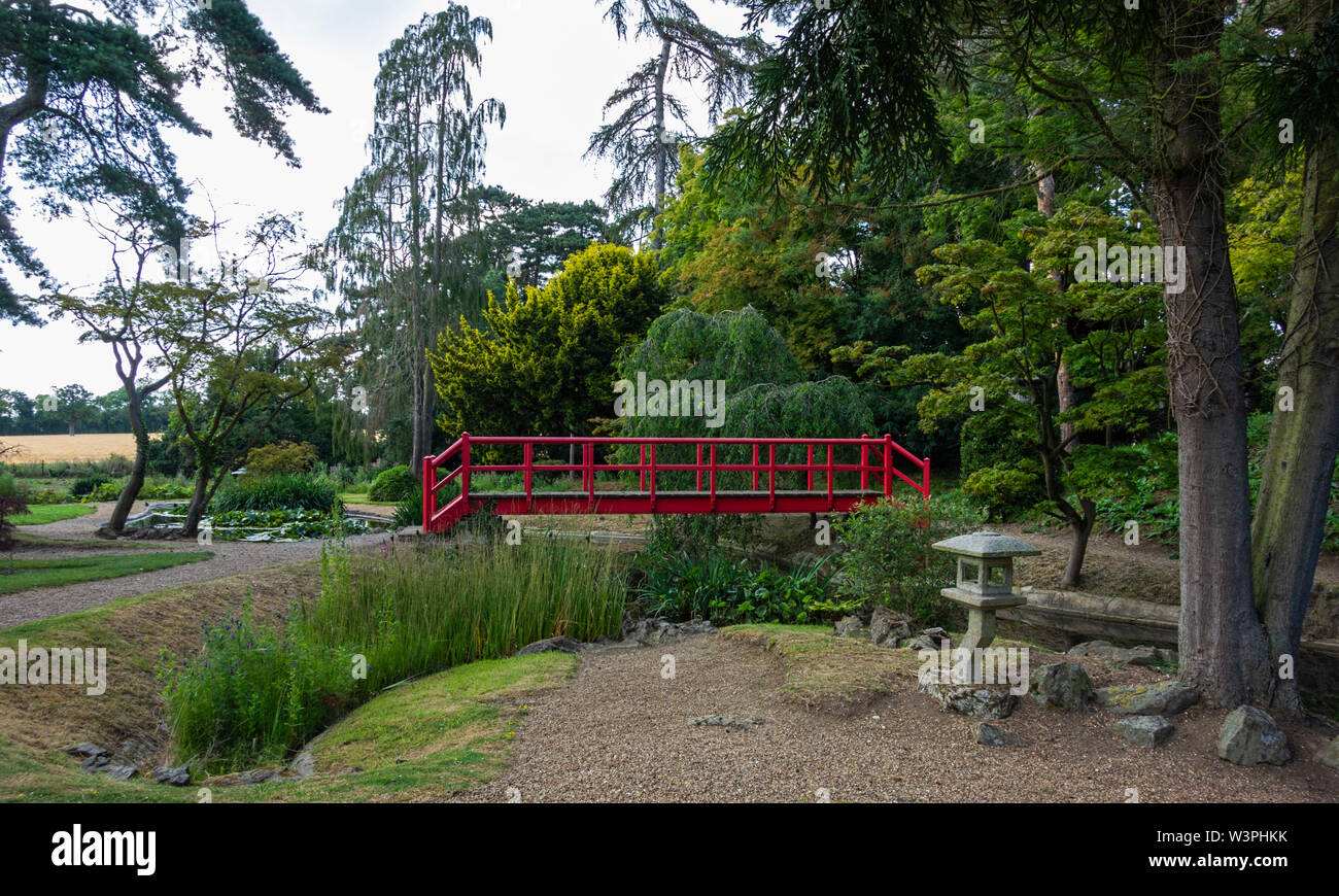 Giardino in stile giapponese a Fanhams Hall Hotel, Ware Hertfordshire, Regno Unito Foto Stock
