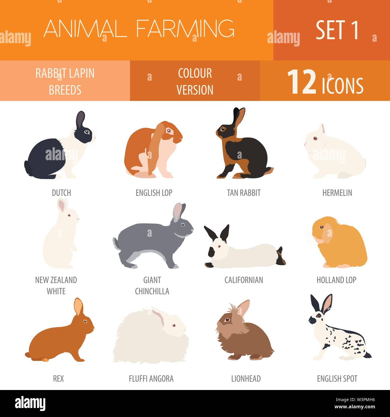 Coniglio, lapin razza icon set. Design piatto. Illustrazione Vettoriale Illustrazione Vettoriale