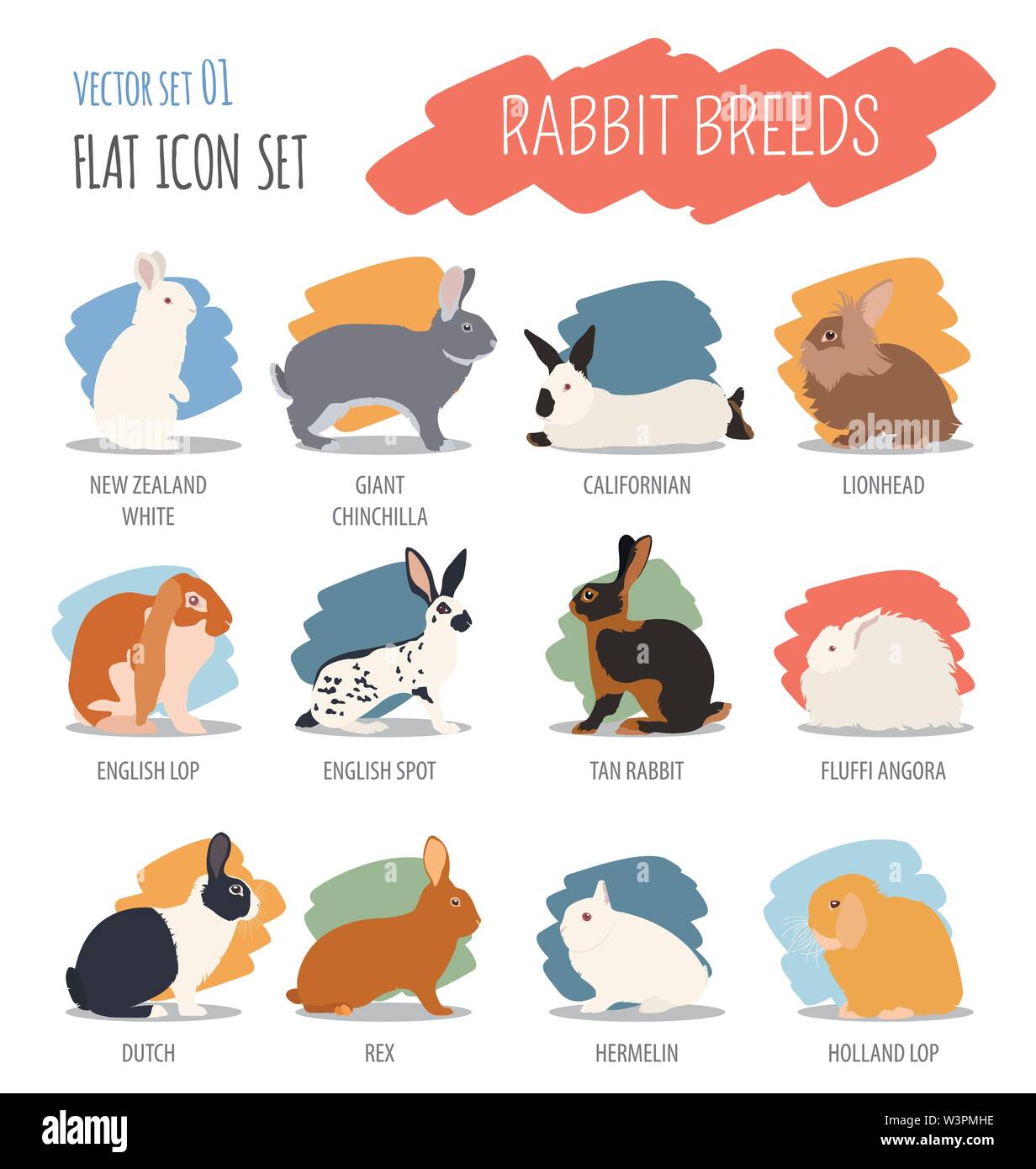 Coniglio, lapin razza icon set. Design piatto. Illustrazione Vettoriale Illustrazione Vettoriale