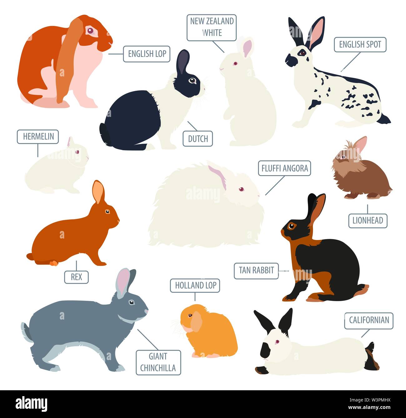 Coniglio, lapin razza icon set. Design piatto. Illustrazione Vettoriale Illustrazione Vettoriale