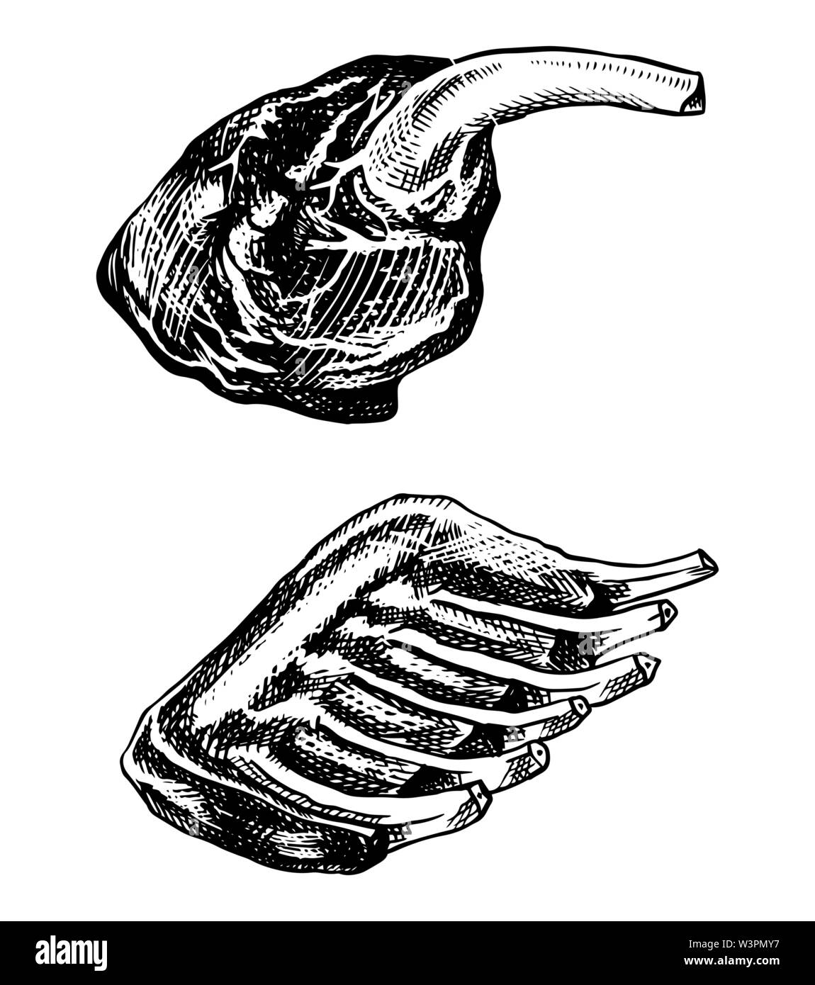 Carne alla brace, barbeque costolette di maiale e manzo gamba. Con barbecue in stile vintage. Modello per il menu del ristorante, emblema o badge. Mano bozzetto. Illustrazione Vettoriale