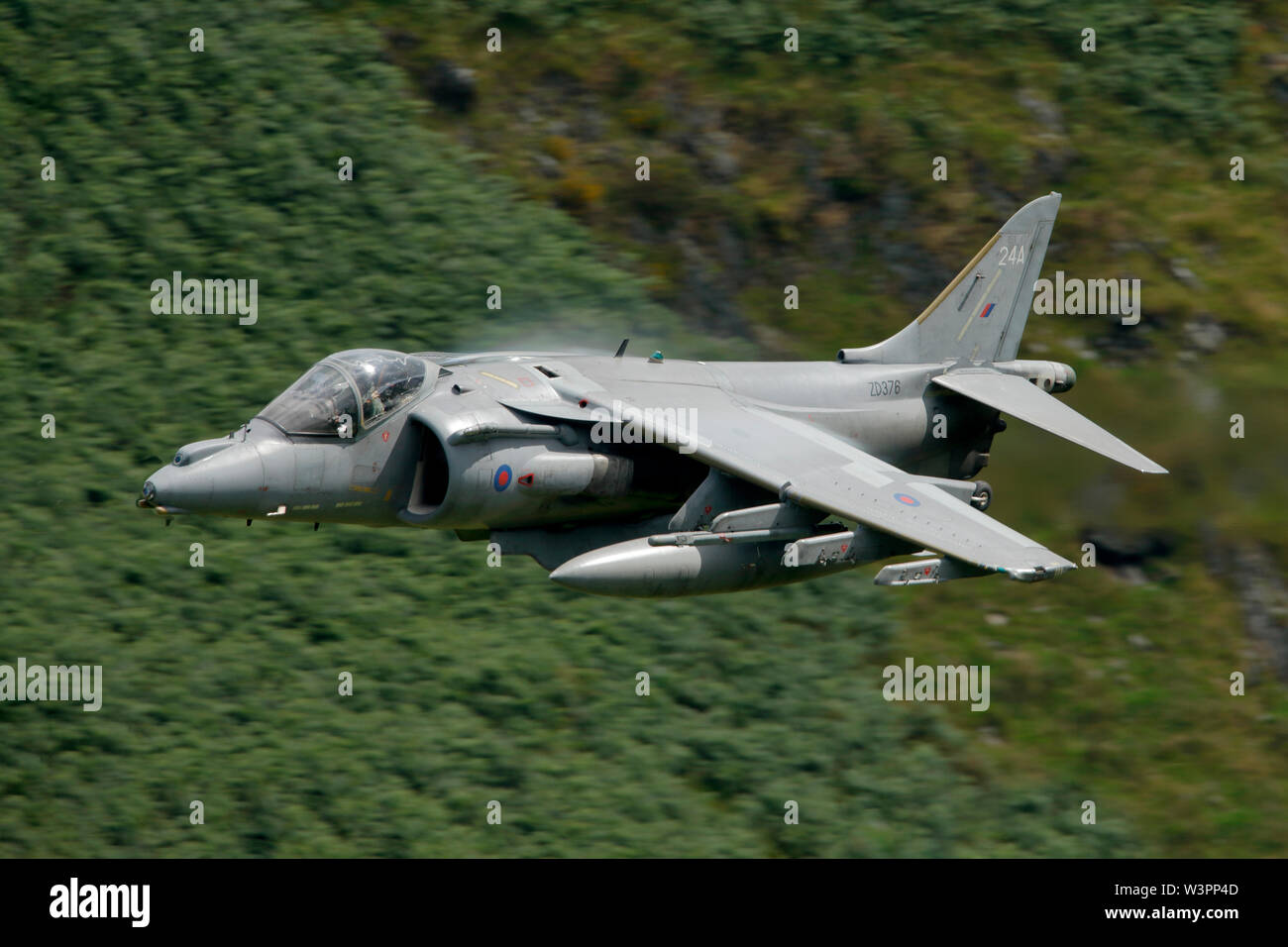 BAE Systems Harrier GR7ZD376 24a basso livello del Welsh zona di addestramento militare di LFA7 noto come il Mach Loop, Dolgellau Galles. Foto Stock