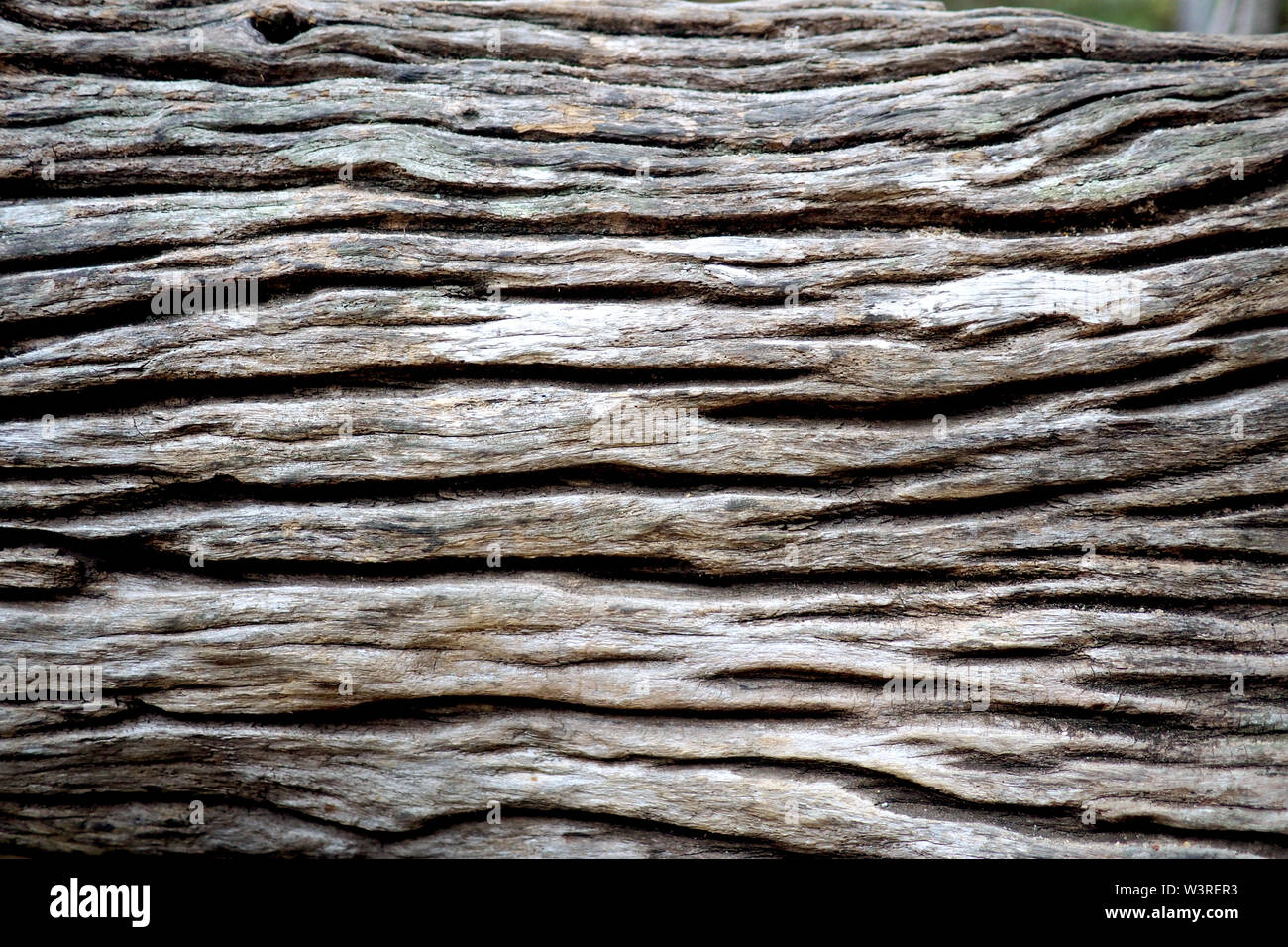 Dettaglio astratto di weathered e legno usurato Foto Stock