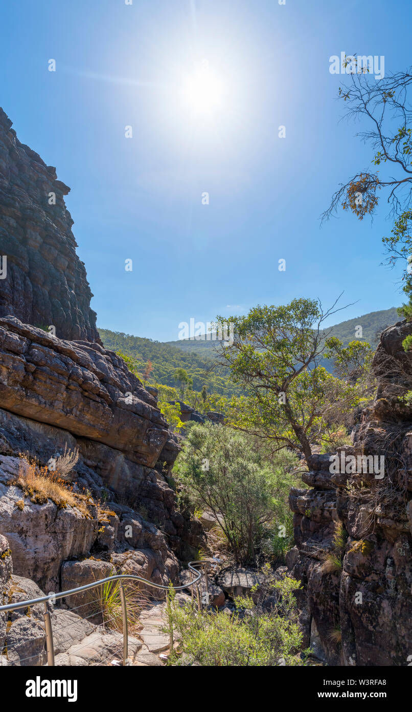 Canyon Trail dal paese delle meraviglie del parco auto, Wonderland gamma, Halls Gap, Parco Nazionale di Grampians, Victoria, Australia Foto Stock