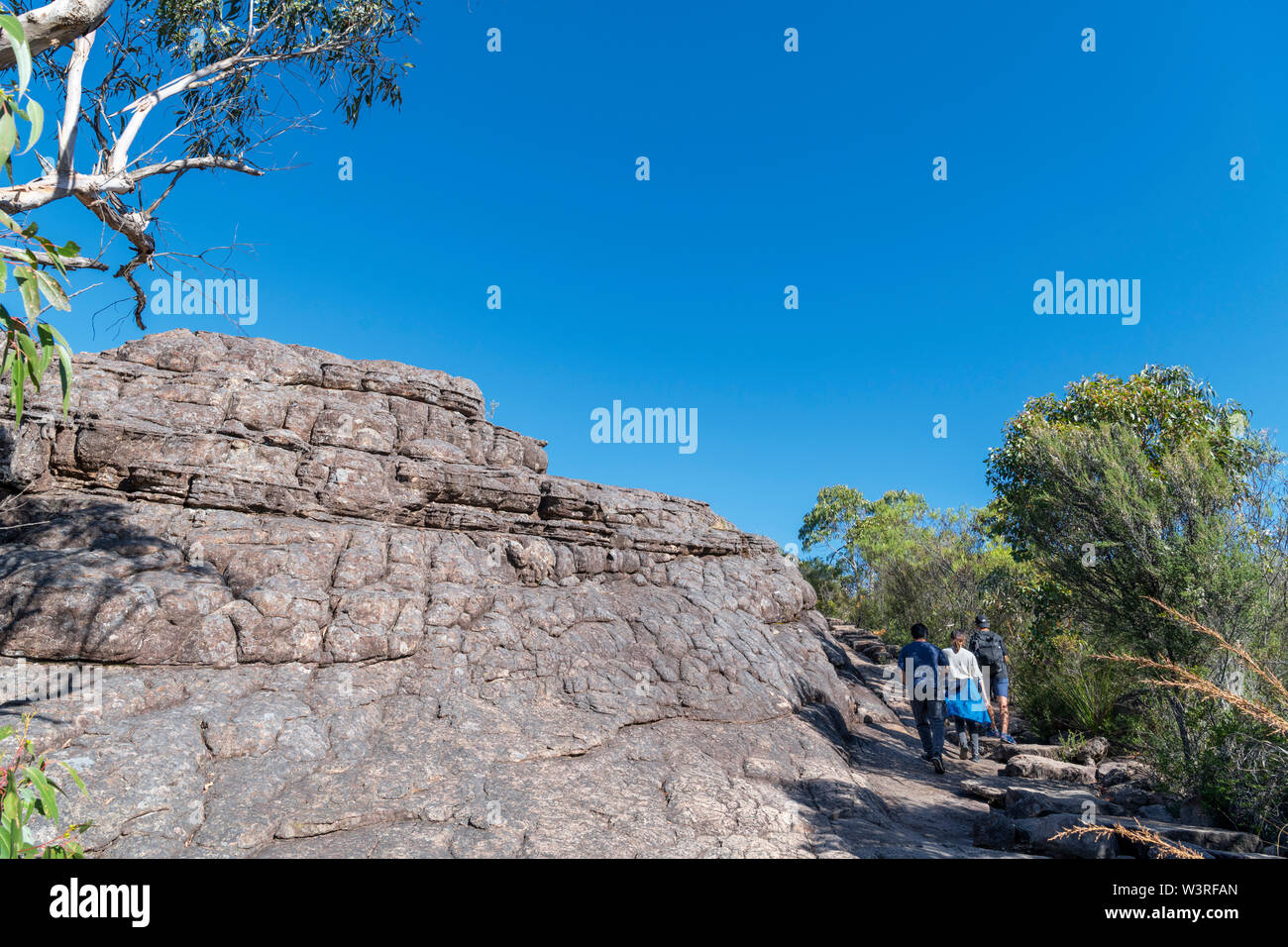 Matura sul Canyon Trail dal paese delle meraviglie del parco auto, Wonderland gamma, Halls Gap, Parco Nazionale di Grampians, Victoria, Australia Foto Stock