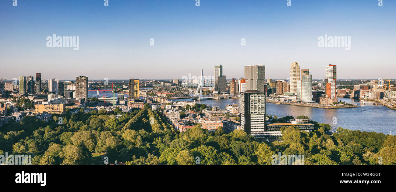 La città di Rotterdam vista aerea. Panorama della città di Rotterdam, fiume Maas e Ponte Erasmo, giornata di sole. Paesi Bassi, banner Foto Stock