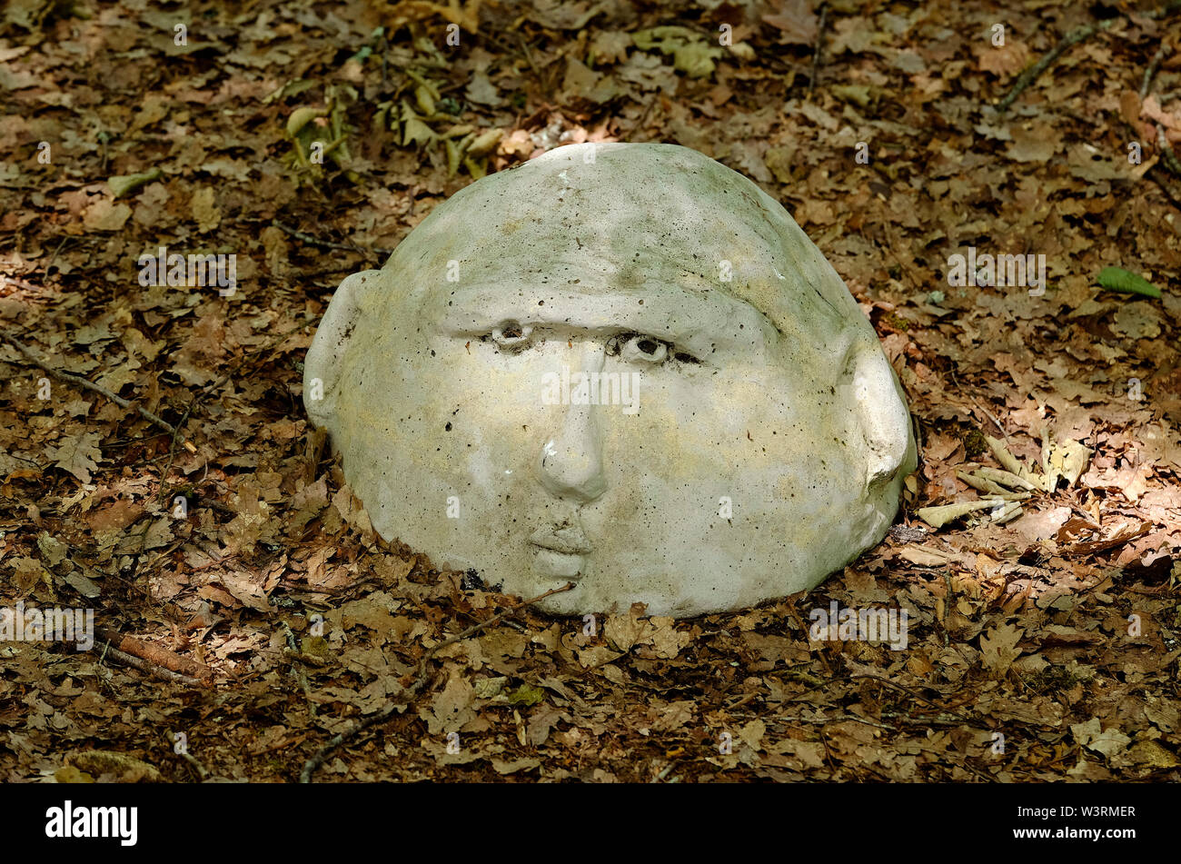 Pietra scolpita in testa foglie marrone Foto Stock