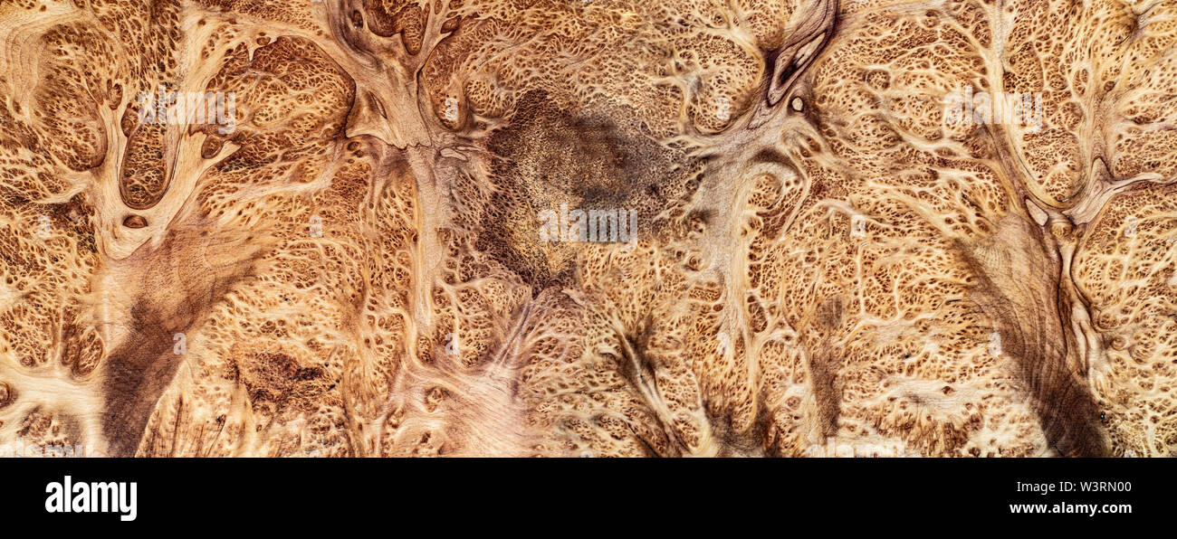 Natura Leza burl a strisce di legno, legno esotico bellissimo modello per l'artigianato o arte astratta texture di sfondo Foto Stock