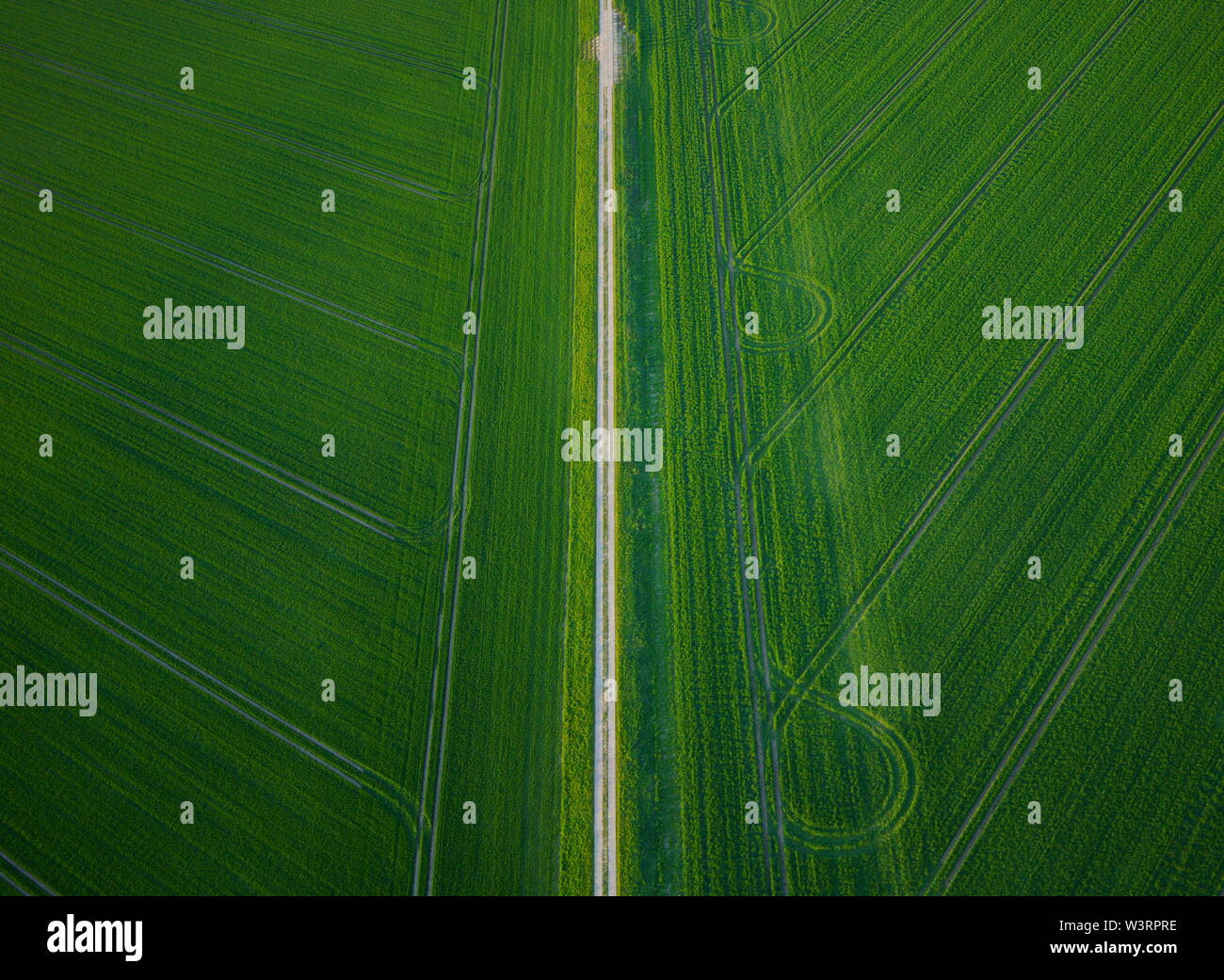 Antenna vista del paesaggio di fresco verde dei campi agricoli in primavera. Vista dall'alto in basso dal di sopra, il campo percorso e i cingoli del trattore in forme geometriche. Foto Stock