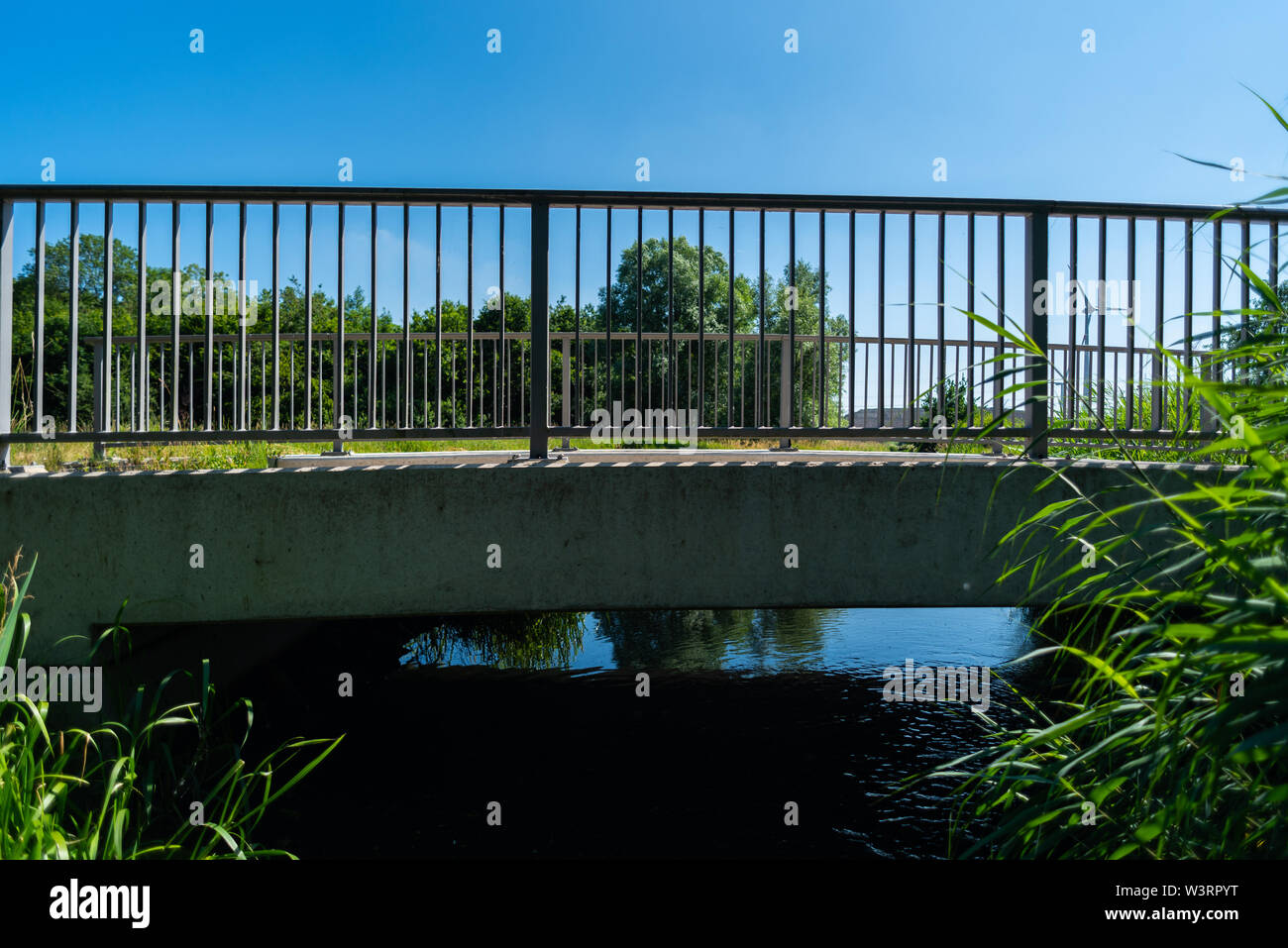 Motivi focalizzato può essere rilevato durante una passeggiata attraverso la natura Foto Stock