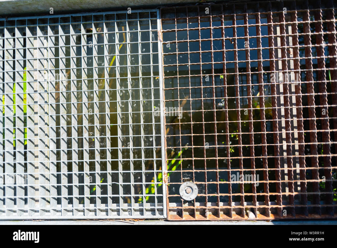 Motivi focalizzato può essere rilevato durante una passeggiata attraverso la natura Foto Stock