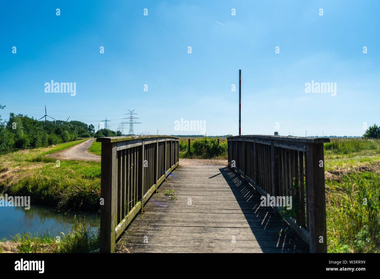 Motivi focalizzato può essere rilevato durante una passeggiata attraverso la natura Foto Stock