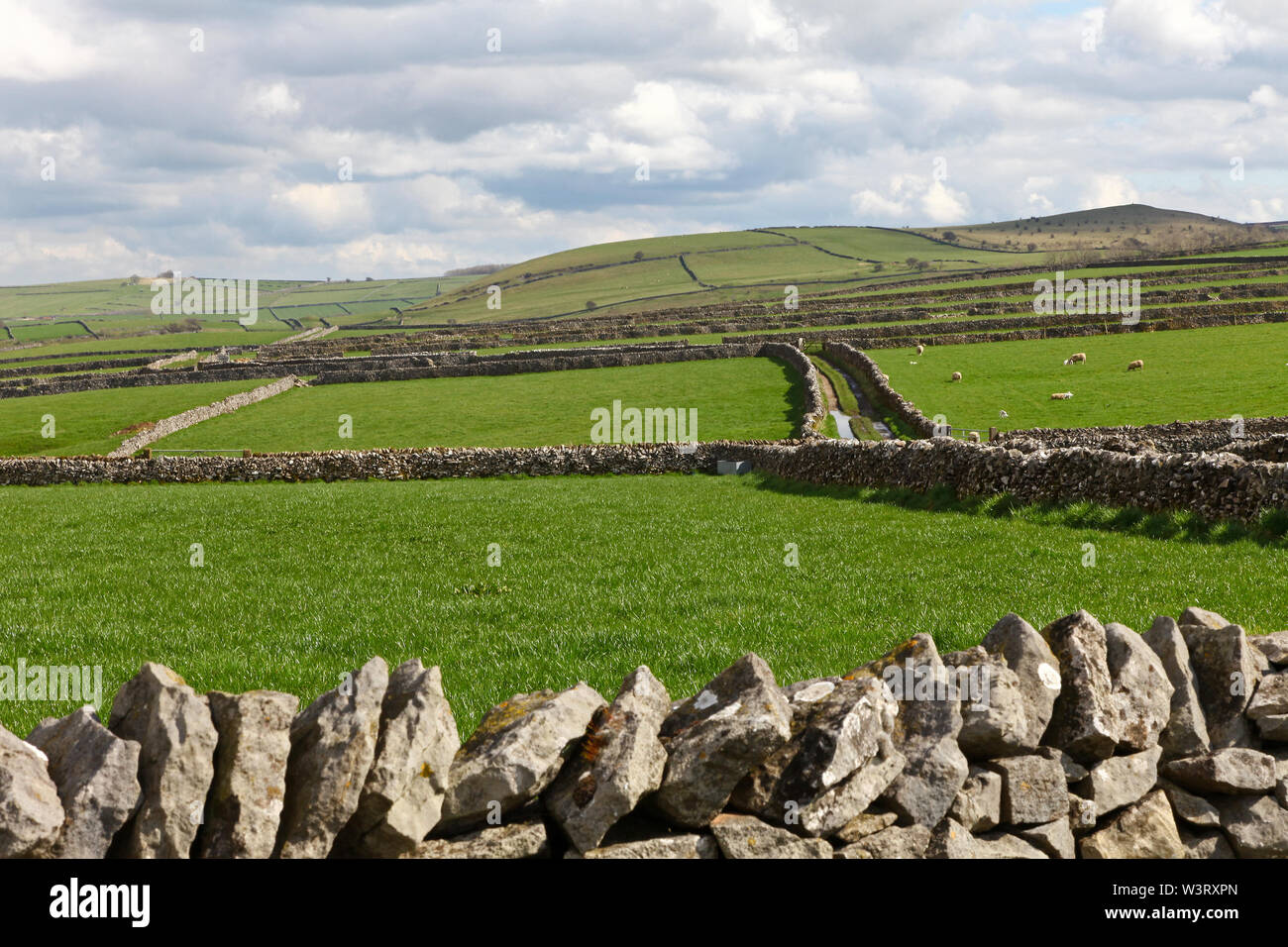 Muri in pietra a secco e green lanes nei campi sopra Cressbrook Dale, Derbyshire, England, Regno Unito Foto Stock