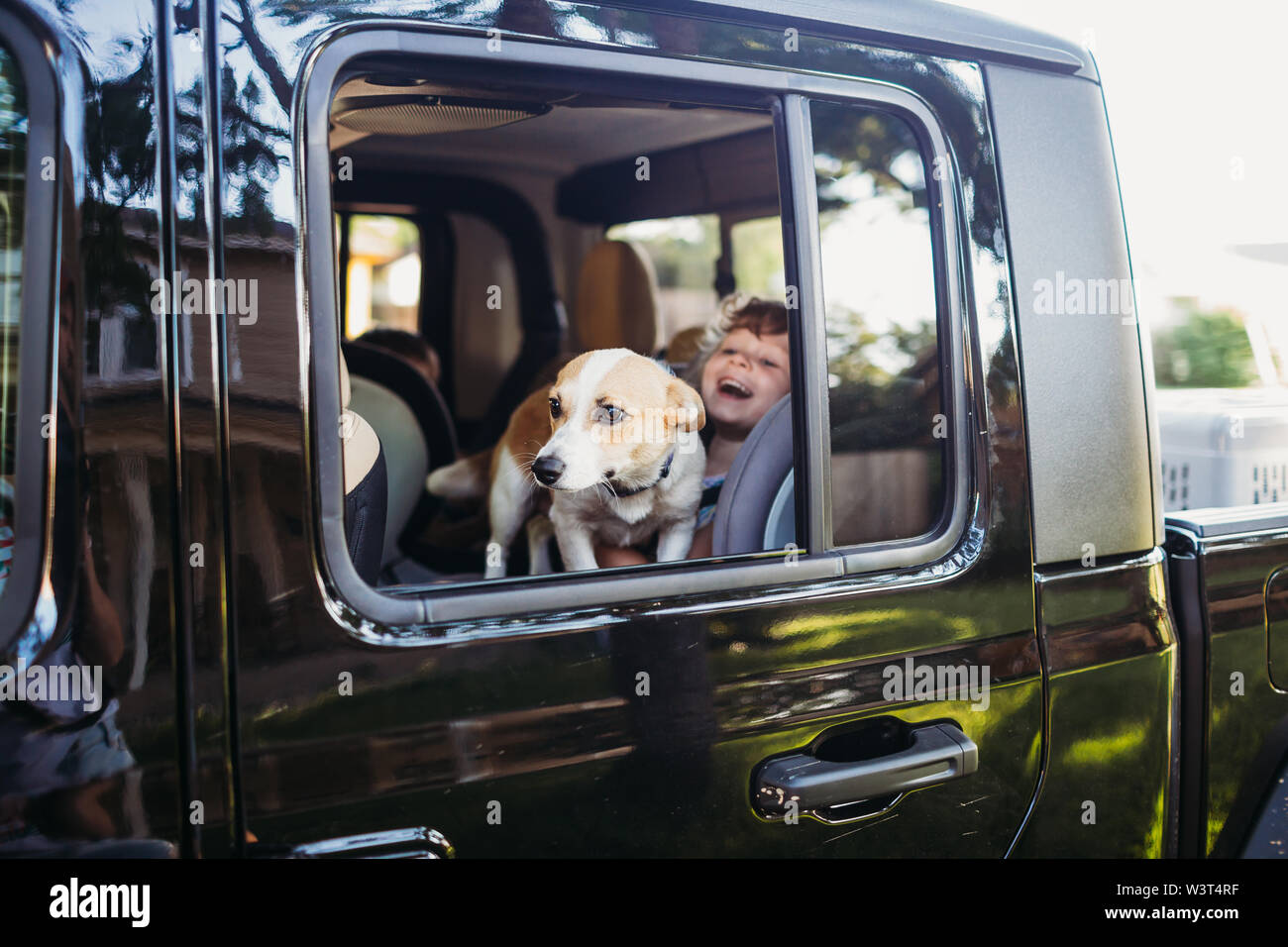 Corgi guardando fuori della finestra Carrello seduta sul giovane ragazza nel sedile posteriore Foto Stock