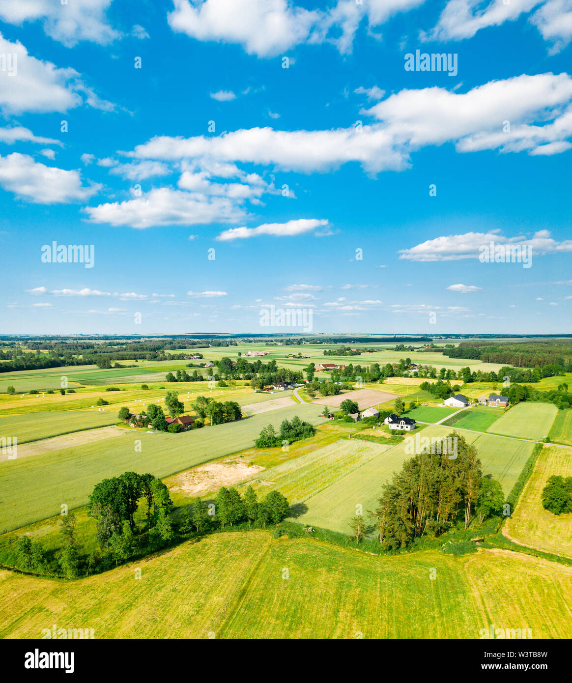 Campi verdi e alberi della campagna polacca tratto all'orizzonte sotto nuvole bianche e blu cielo Foto Stock