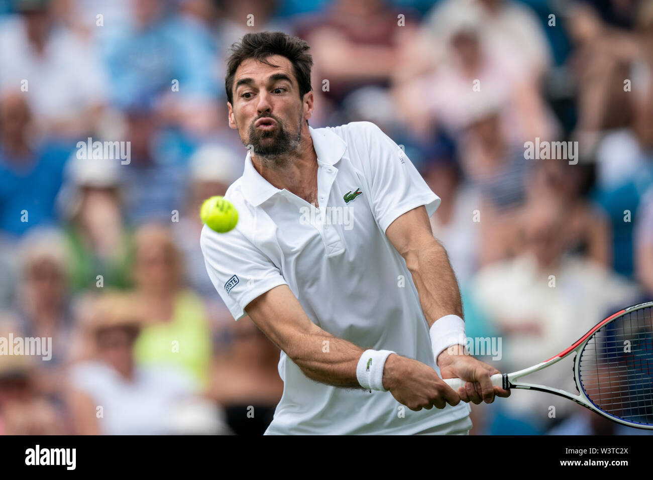 Jeremy Chardy della Francia in azione contro Cameron Norrie di GBR a valle della natura International 2019, Devonshire Park, Eastbourne Foto Stock