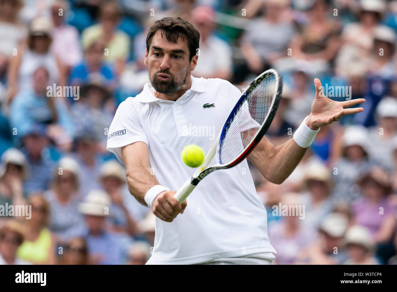 Jeremy Chardy della Francia in azione contro Cameron Norrie di GBR a valle della natura International 2019, Devonshire Park, Eastbourne Foto Stock