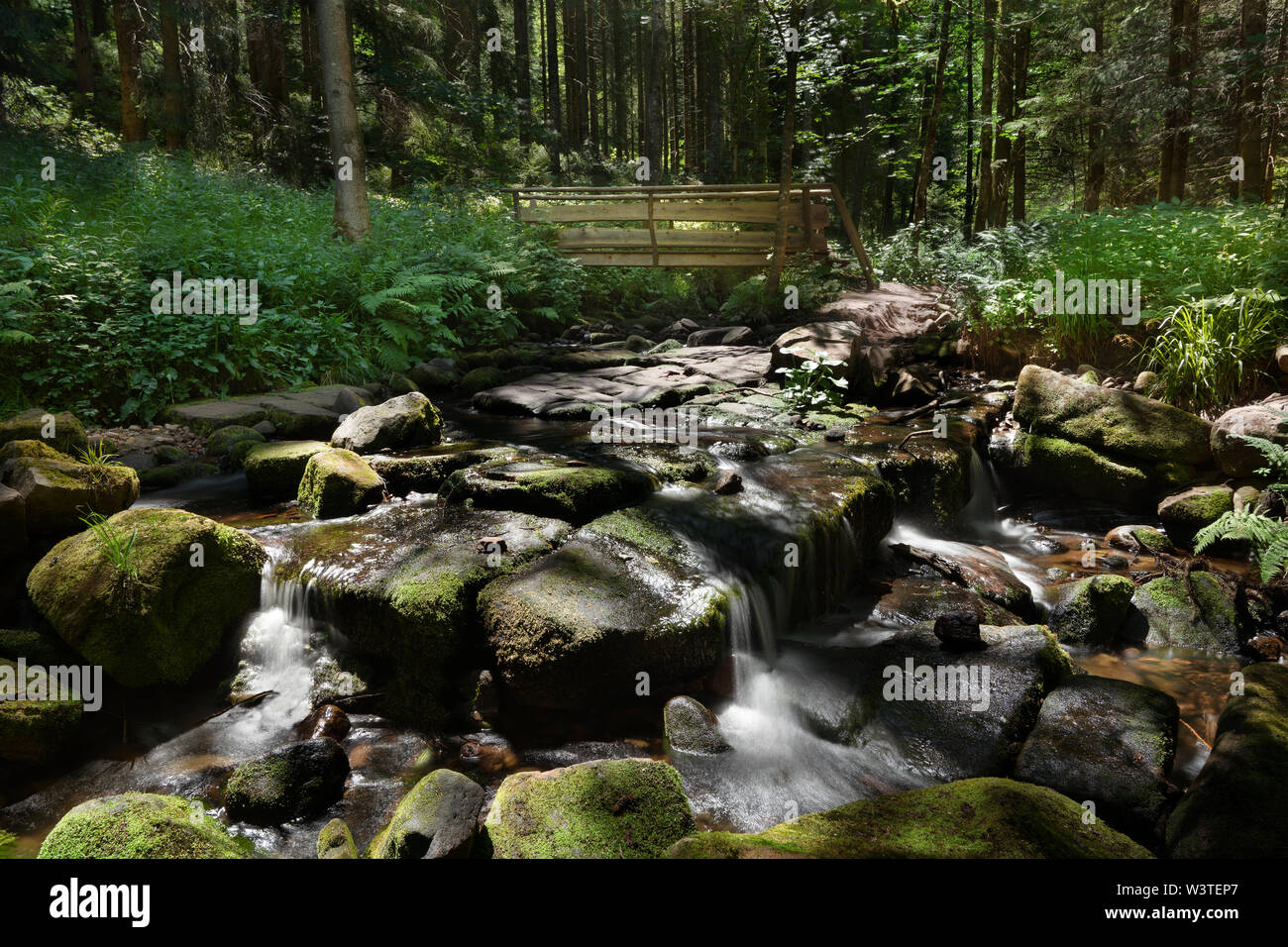 Stony creek bed nella foresta con un piccolo ponte di legno Foto Stock