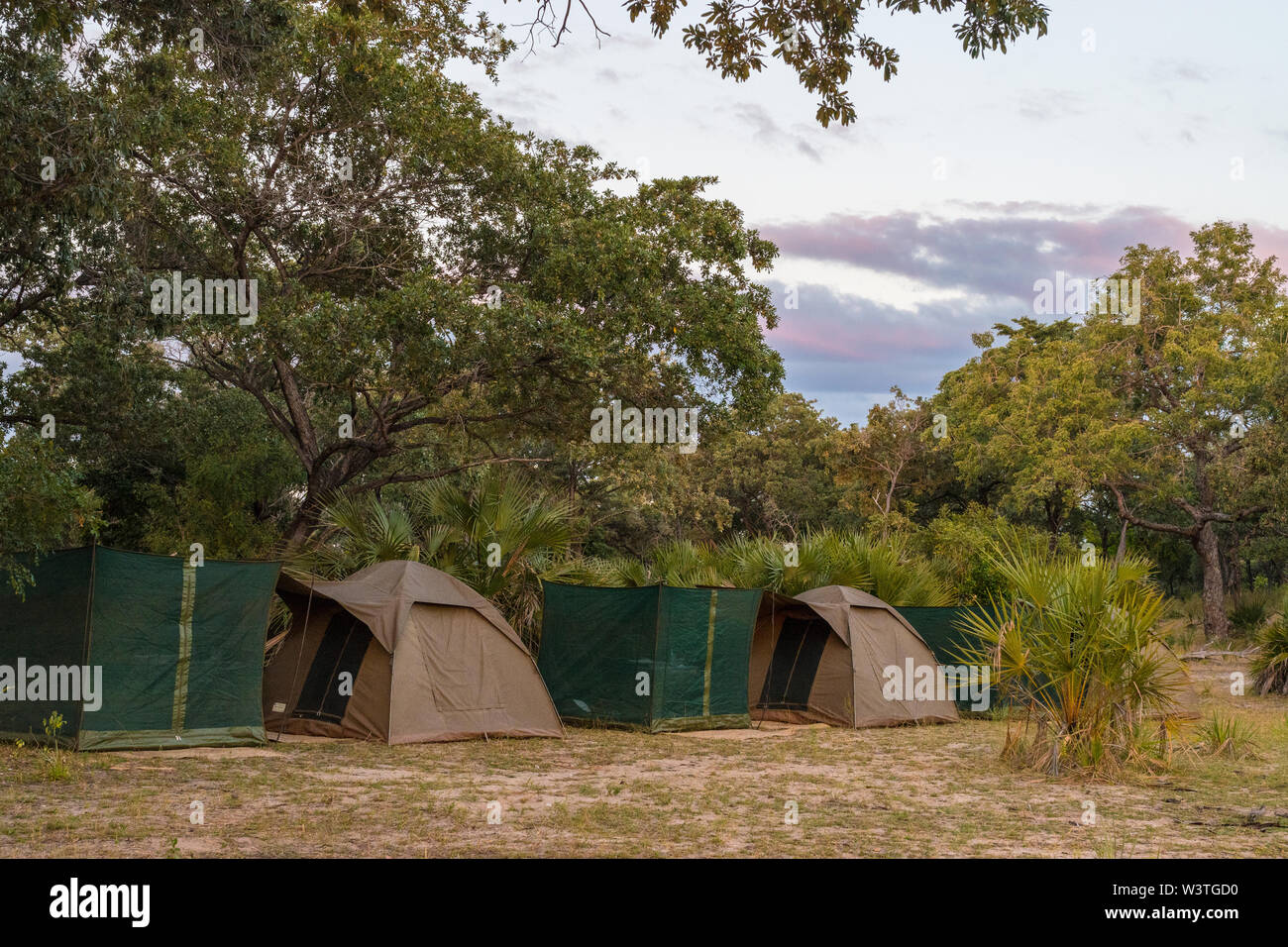 Campeggio nel bush in Riserva Selous Foto Stock