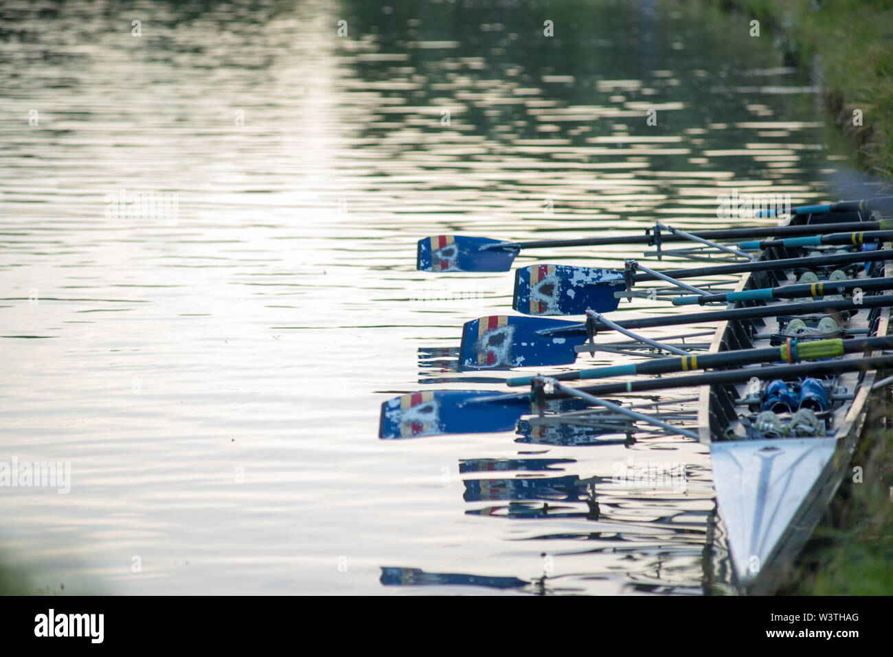 Cambridge Regno Unito, 2019-07-17. 8 L'uomo le barche a remi ormeggiate sulla riva del fiume durante la città annuale urti svoltasi sul fiume cam Foto Stock