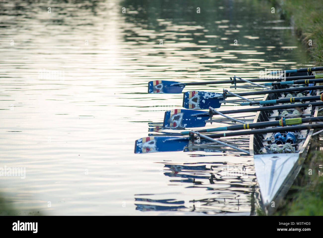Cambridge Regno Unito, 2019-07-17. 8 L'uomo le barche a remi ormeggiate sulla riva del fiume durante la città annuale urti svoltasi sul fiume cam Foto Stock