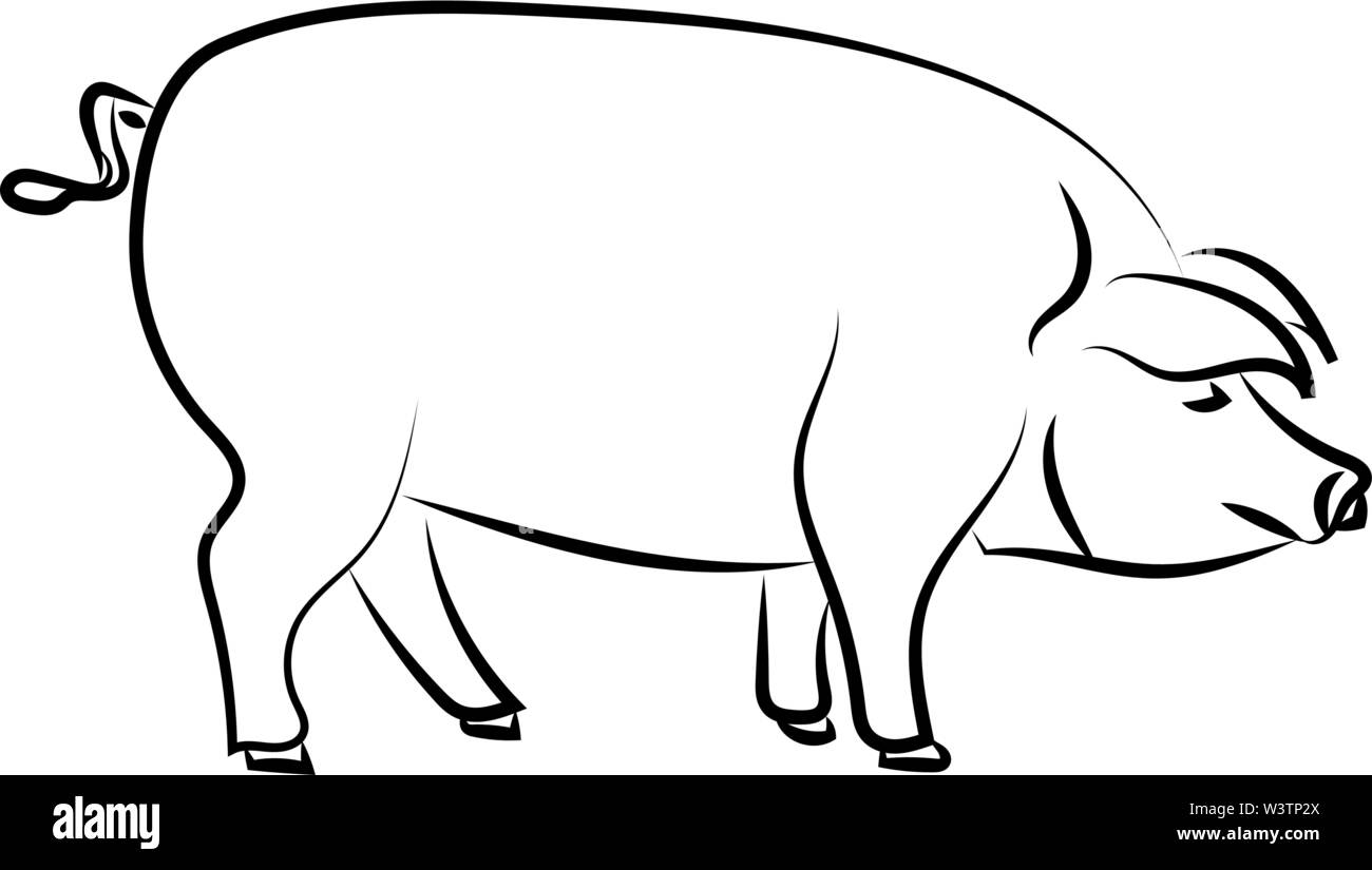 Big Pig standing, illustrazione, vettore su sfondo bianco. Illustrazione Vettoriale