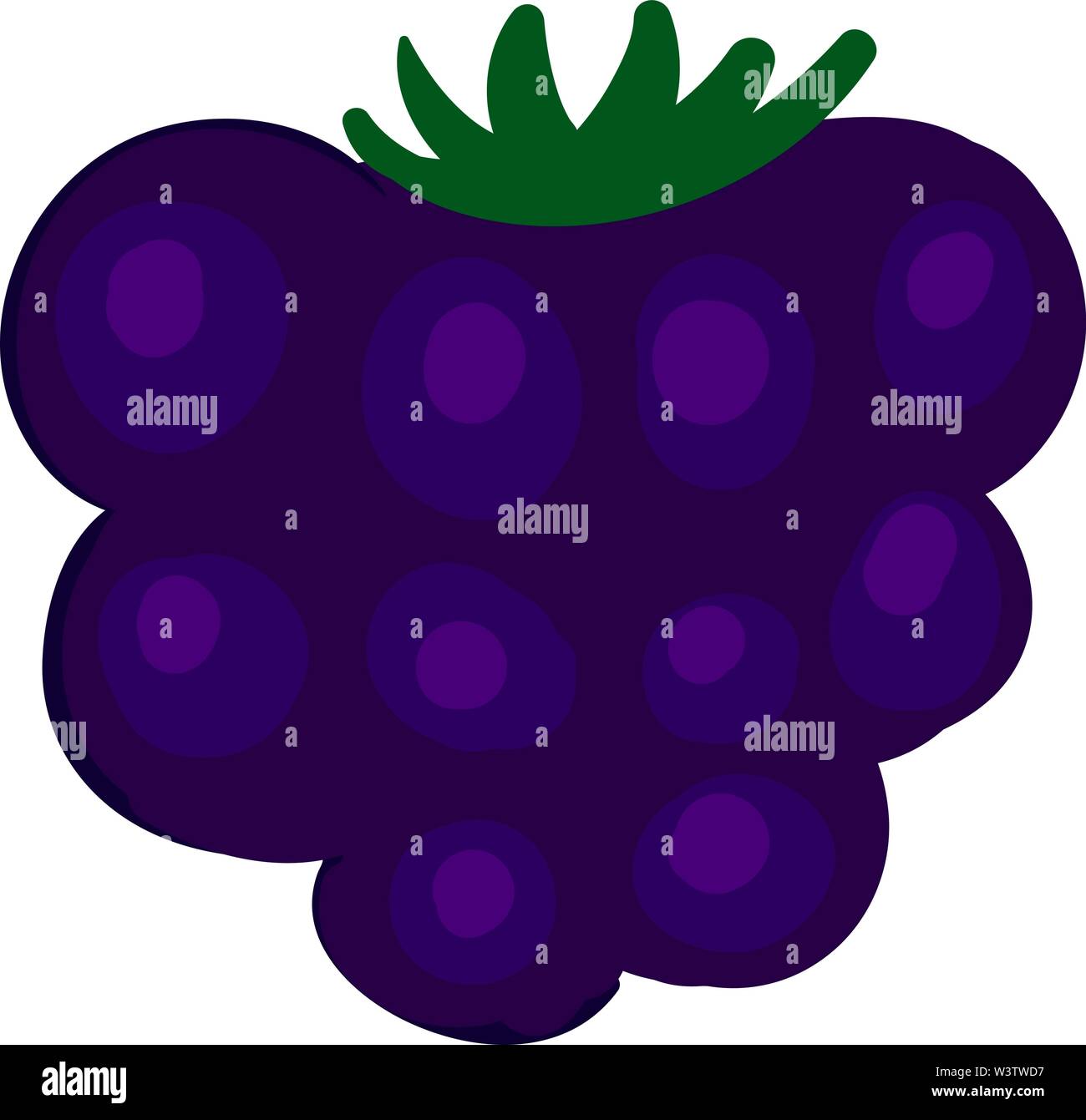 Blackberry gustosi, illustrazione vettore su sfondo bianco. Illustrazione Vettoriale