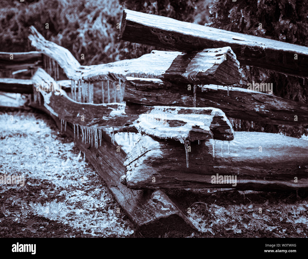 Immagine duotone di una recinzione di tronchi su rotaia frazionata ricoperta di ghiaccio vicino a Little Switzerland, North Carolina, a seguito di una tempesta di ghiaccio. Foto Stock