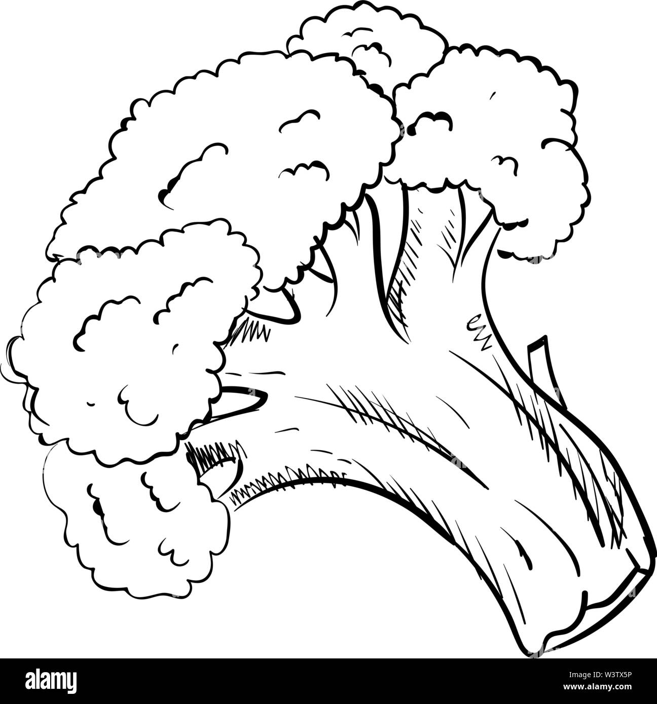 Silhouette di broccoli, illustrazione vettore su sfondo bianco. Illustrazione Vettoriale