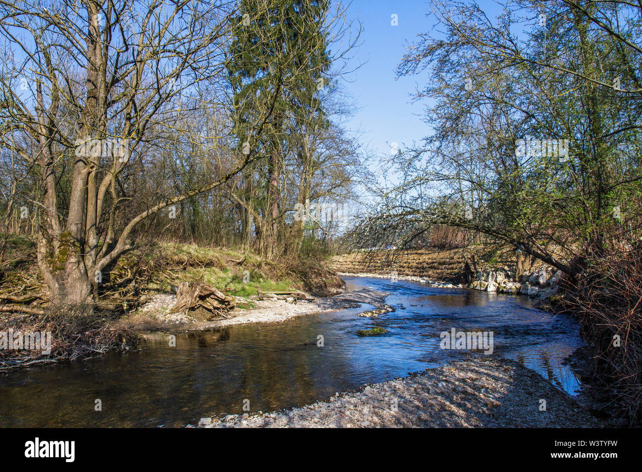 Fiume kingfisher, Die Lauter, kleiner Fluß bei Kirchheim unter Teck Foto Stock