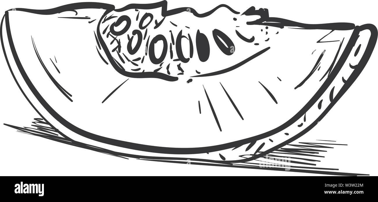 Disegno di melone, illustrazione vettore su sfondo bianco Illustrazione Vettoriale